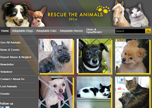 Rescue-the-Animals